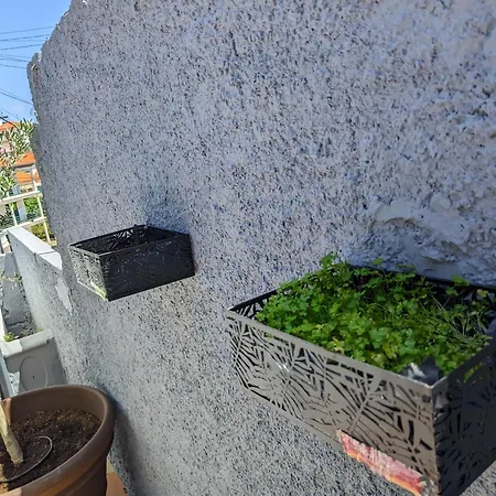Casa Ascencao, Vista Mar Madeira * Funchal (Madeira)